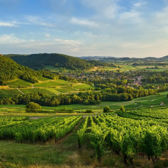 Weekend in the Jura vineyards