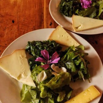 Organic vegetarian lunch at Domaine Latapy