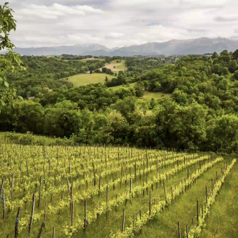 Wine stay in the Pyrenees