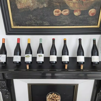 Chinon and Saint-Nicolas-de-Bourgueil wine tasting in the Loire Valley