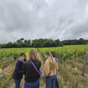 Meet winemakers from the Chinon area appellations