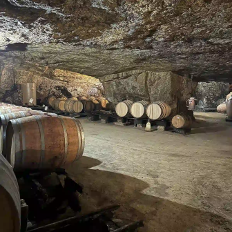 Wine estate and rock-cut cellar visits in Chinon