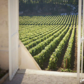 Wine stay in Saint-Aubin, Burgundy
