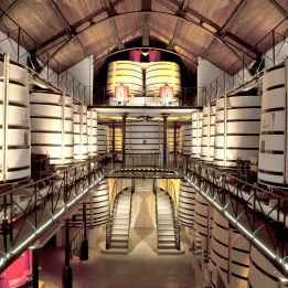 Maison Rémy Martin tour in Cognac