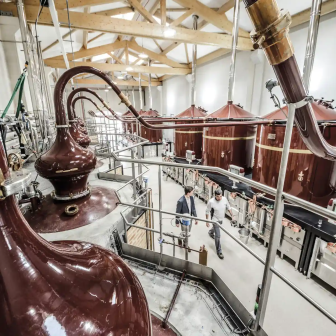 Discover Cognac at Rémy Martin