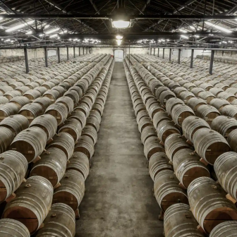 Cellar tour at Maison Rémy Martin