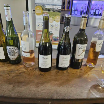 Gaillac wine tasting