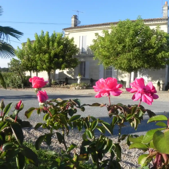 Discover the Saint-Émilion and Pomerol appellations