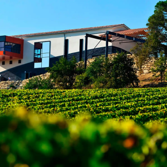 Tour of a Saint-Émilion wine estate