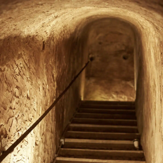 Cellar tour in Épernay