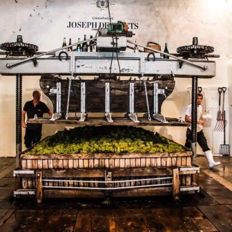 Discover the press and the winemaker’s craft in Champagne