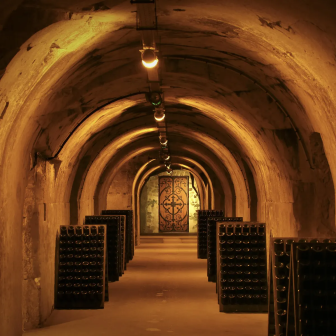 Full-day Champagne house visits
