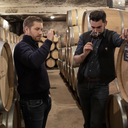 Truffle and wine day in Burgundy