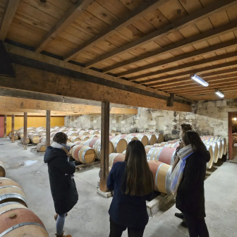 Winery tour in Margaux, Médoc