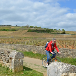 Organic stay near Beaune
