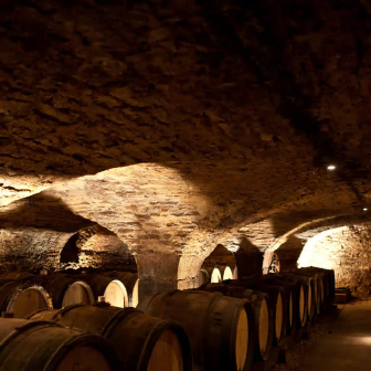 Cellar tour in Burgundy