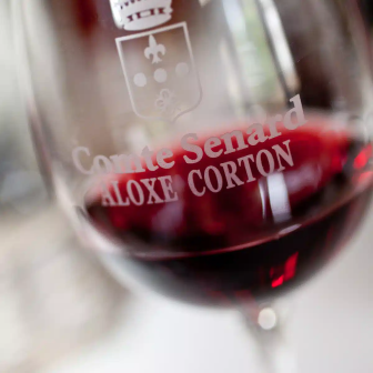 Guided organic wine tasting in Aloxe-Corton