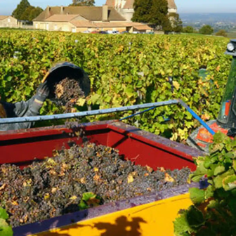 Weekend in the Bergerac vineyards