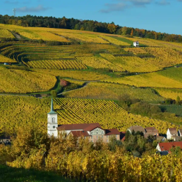 3 days to discover the vineyards of Alsace