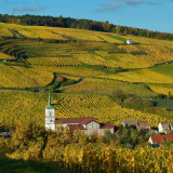 3 days to discover the vineyards of Alsace