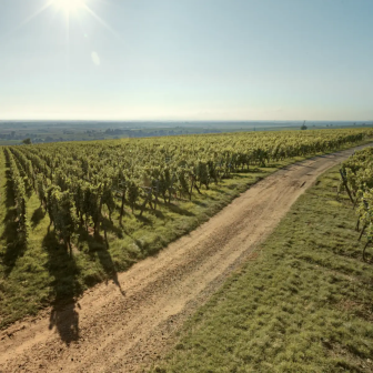 Wine experience holidays in Alsace