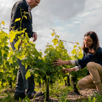 Food and Wine Tour in Bordeaux