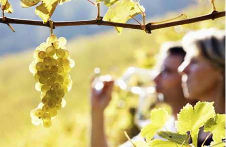 Wine Weekend Bordeaux