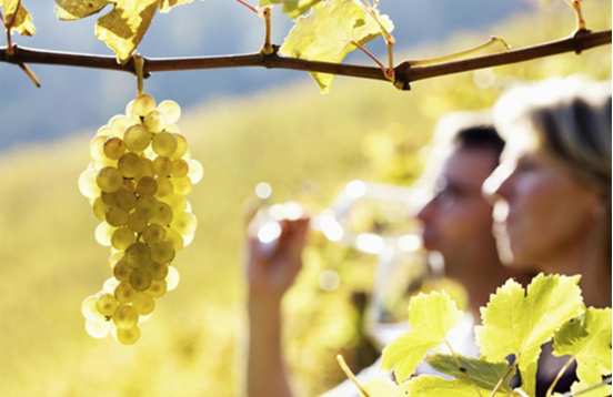 Wine Weekend Bordeaux