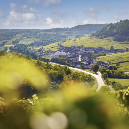 3 days to discover the vineyards of Burgundy