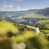 3 days to discover the vineyards of Burgundy