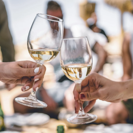 Discover the vineyards of the Loire Valley