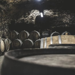 History, gastronomy and wines around Tours