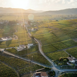 Discover Beaujolais, Rhône Valley and Lyon in 4 days