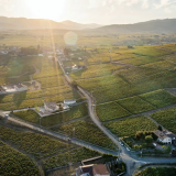 Discover Beaujolais, Rhône Valley and Lyon in 4 days