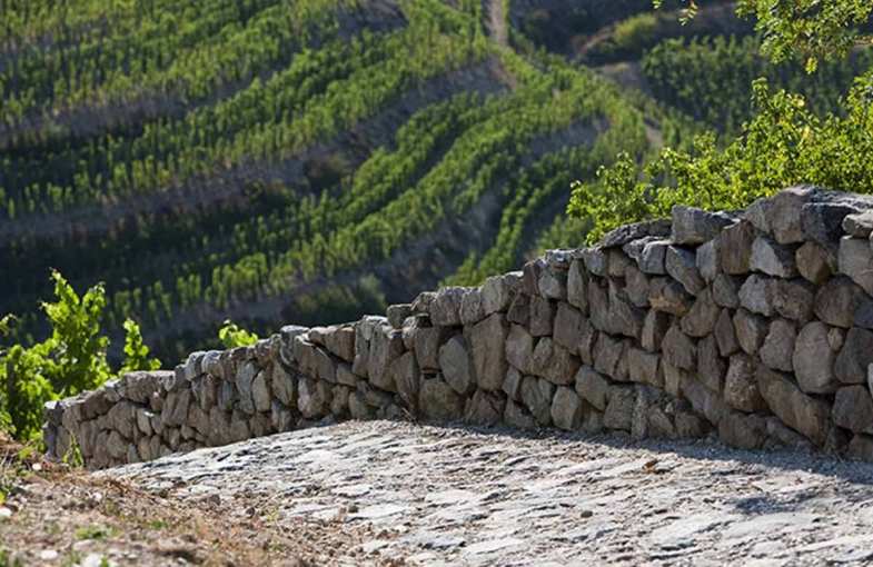 Romantic weekend in the Côte Rôtie region