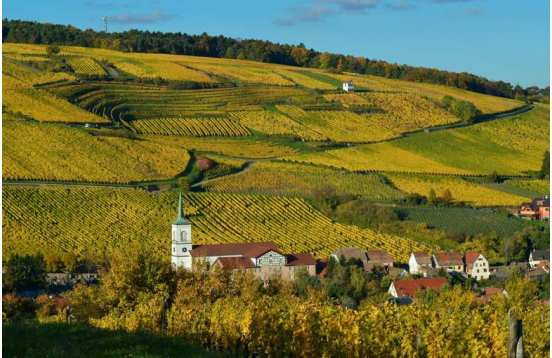 3 days to discover the vineyards of Alsace