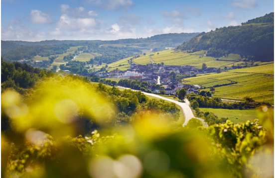 3 days to discover the vineyards of Burgundy
