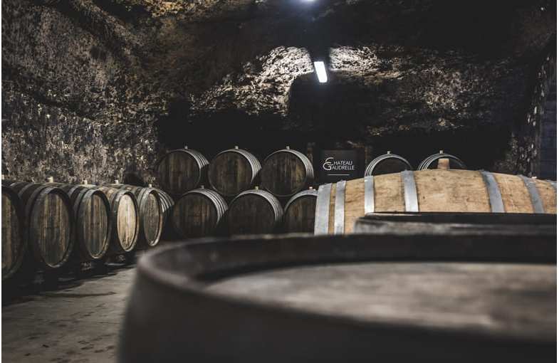 History, gastronomy and wines around Tours