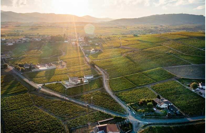 Discover Beaujolais, Rhône Valley and Lyon in 4 days