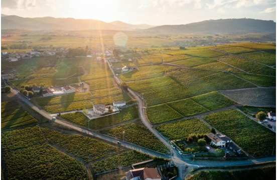 Discover Beaujolais, Rhône Valley and Lyon in 4 days