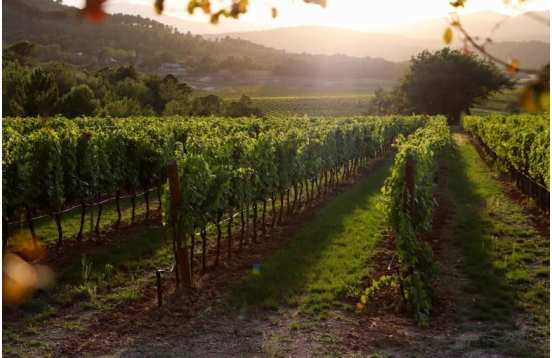 3-day getaway in Provence