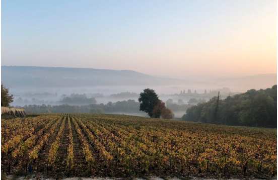 Organic champagne tasting stay