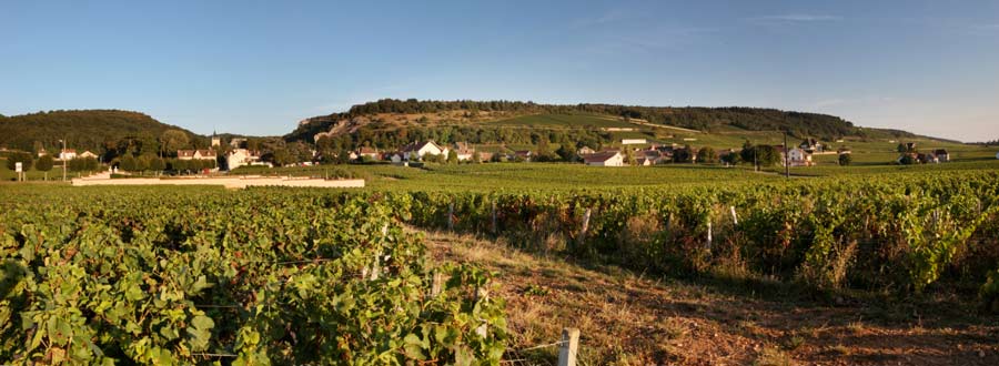 Wine Routes of Burgundy: discover the heart of French terroir