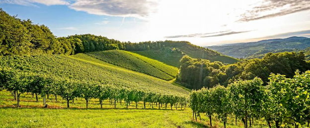 A romantic weekend in Burgundy