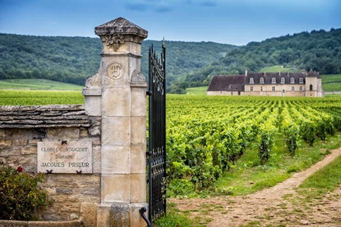Climat - Burgundy, France