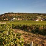 Wine Routes of Burgundy: discover the heart of French terroir