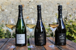 Champagne's Wine tasting