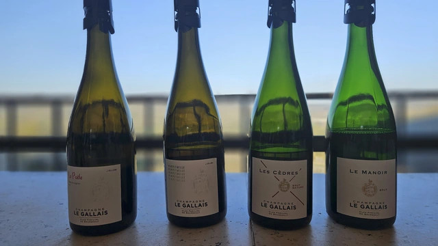 Wine workshop