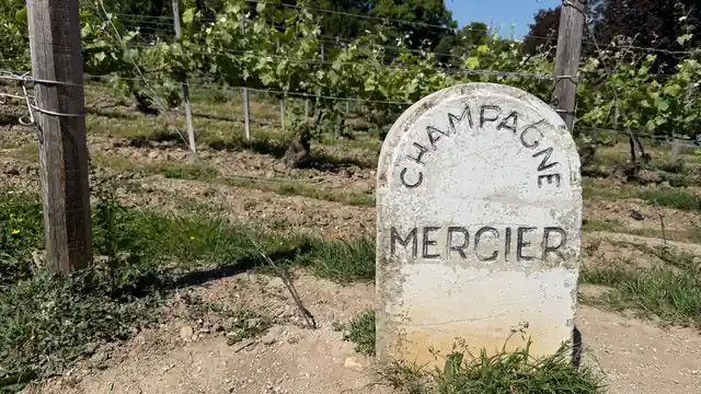 Guided Tour – Champagne hillsides and vineyards