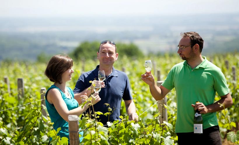 Domaine Joseph Lafarge